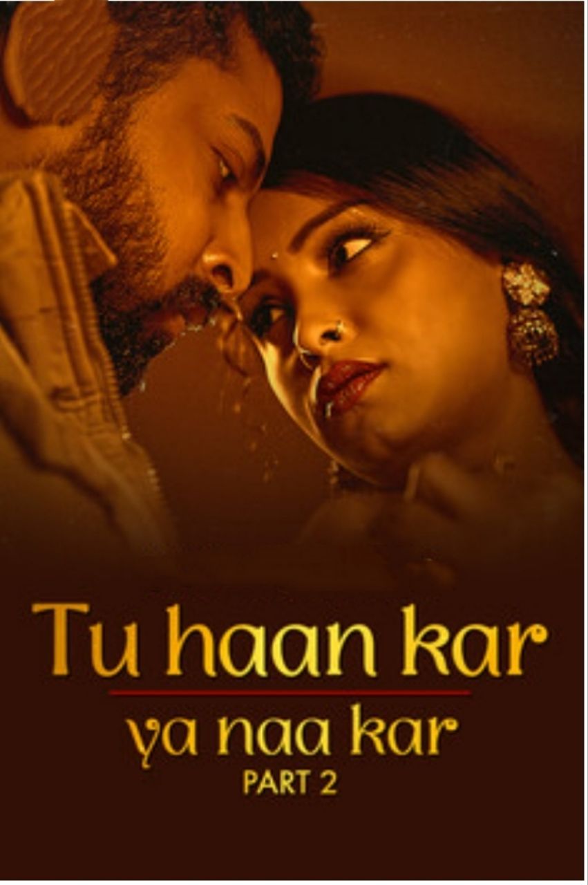 TuHaKarYaNaKarPart2 (2025) USeris 720p | 480p Webhd x264